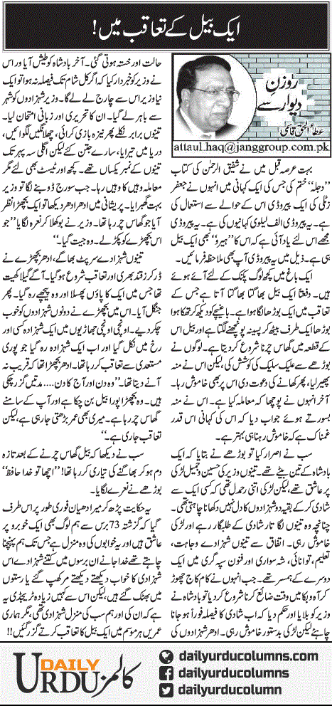 Aik Bail Kay Taaqub Main | Ata Ul Haq Qasmi | ColumnsHub